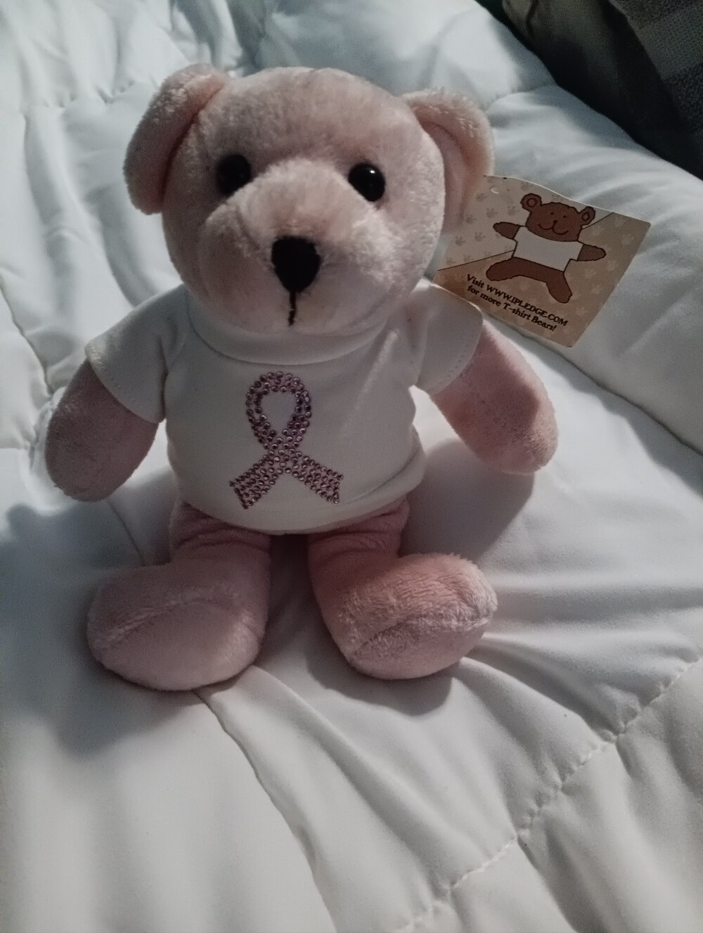 NWT USPS BREAST CANCER BEAR WITH POSTAGE STAMP ON BACK. WITH PINK JEWELS.